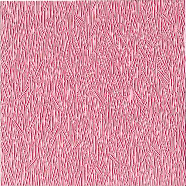 Litho Carrie J. Meijer