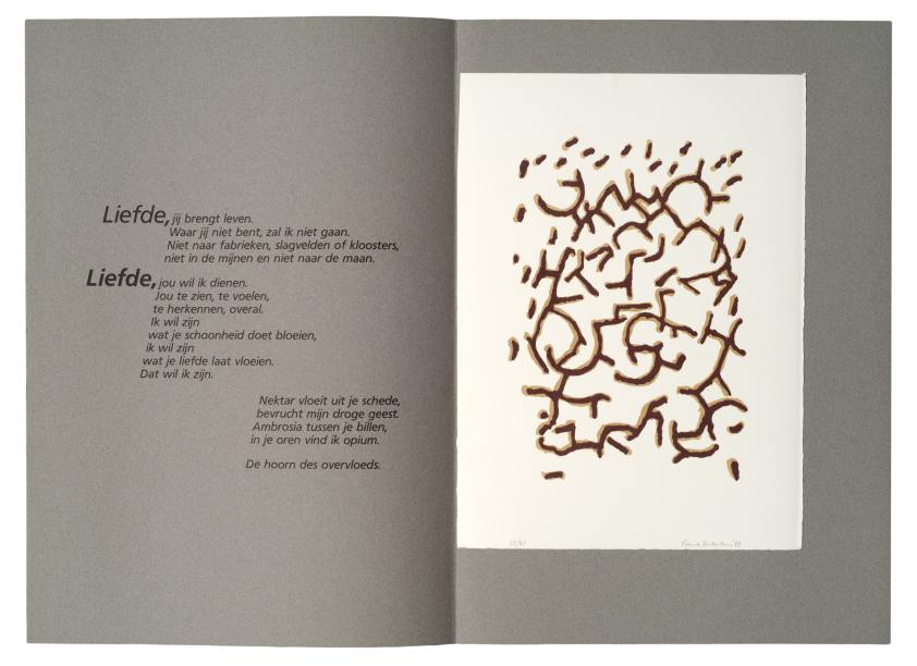 Boek Frank Lodeizen & Hans Plomp