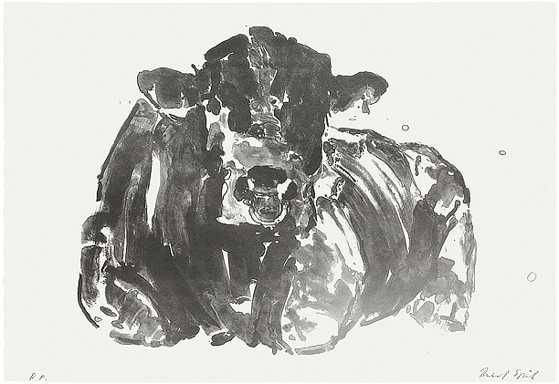 Litho Ruud Spil